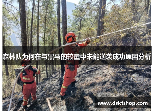 森林队为何在与黑马的较量中未能逆袭成功原因分析