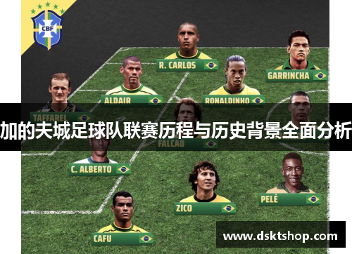 加的夫城足球队联赛历程与历史背景全面分析